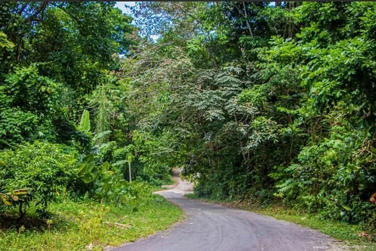 Cozy Villa- 4 Bedroom St Ann Saint Ann's Bay Jamaica